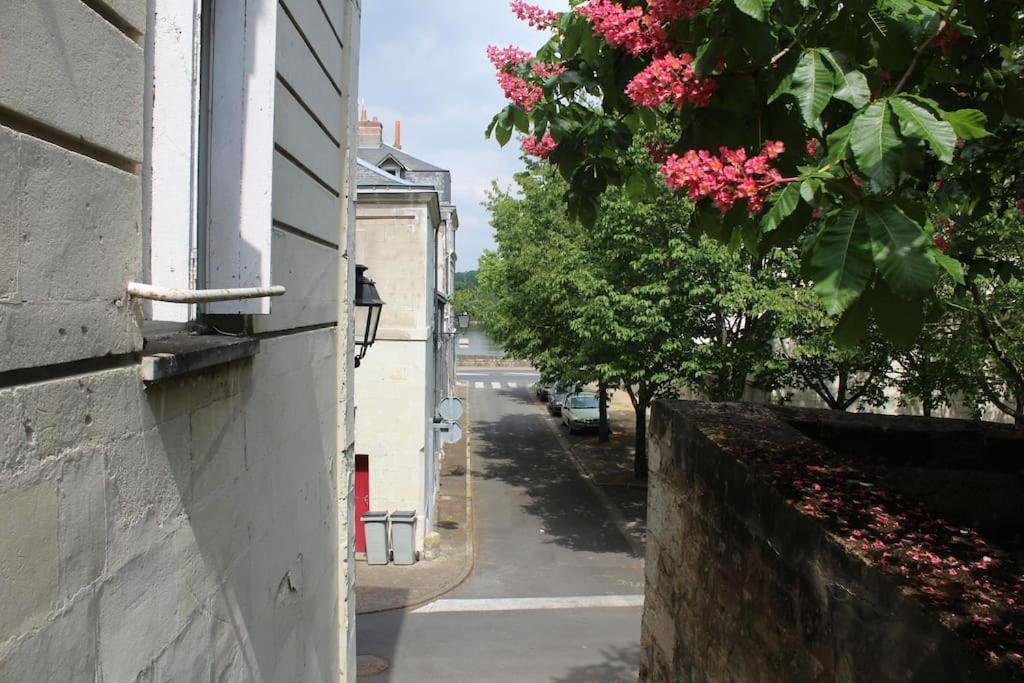Appartement Calme Proche De La Loire Сомюр Экстерьер фото